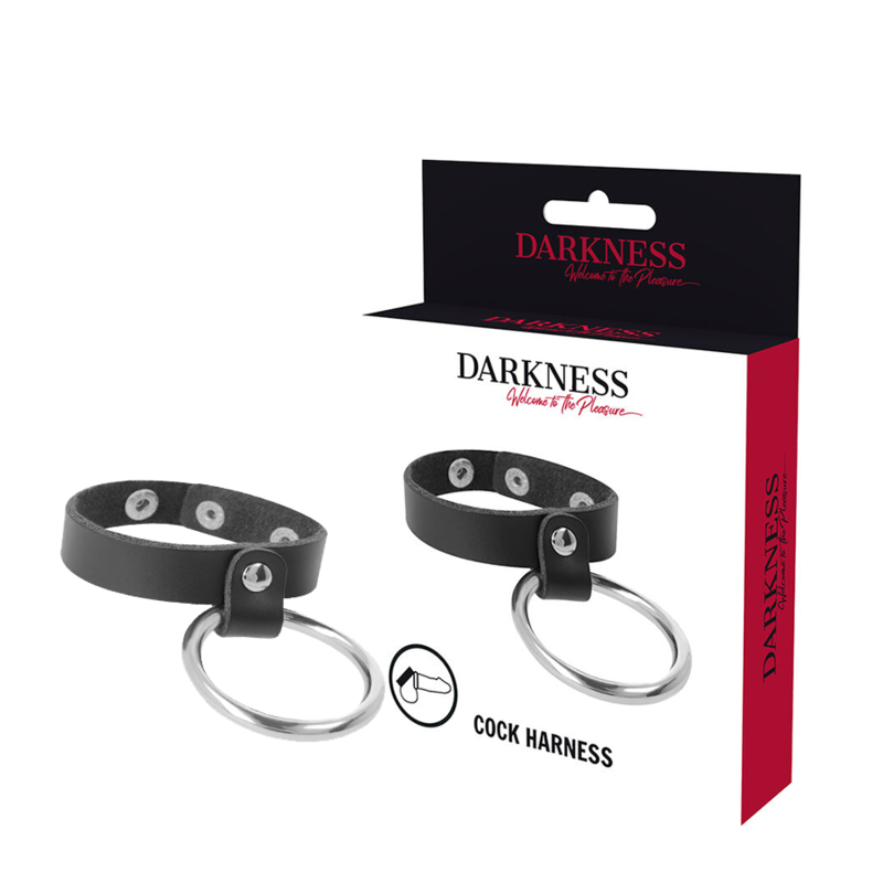 DARKNESS - ANEL METÁLICO PARA O PÉNIS E TESTÍCULOS