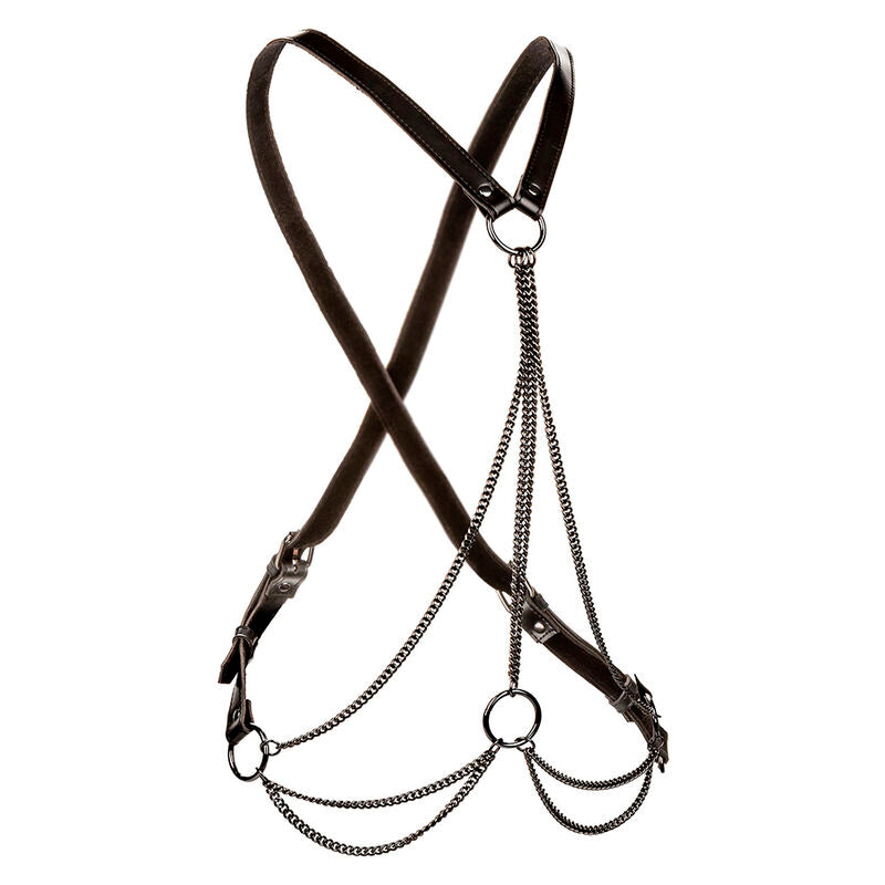 CALEXOTICS - EUPHORIA ARNÊS MULTICORRENTE PREMIUM